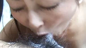 விந்தணுக்களில்