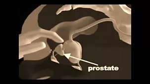 முதிர்ந்த டீன் கழுதை pornhub அம்மா நக்கி, கண்ணாடிகளுடன் சேவலை உறிஞ்சி, அவளது காதலன் முகத்தில் விந்து வெளியேறுகிறான்