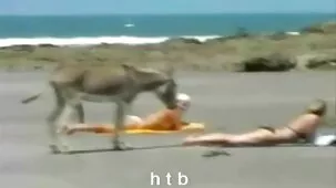 கழுதை அவளை Fucking மற்றும் அவர் ஒரு பெரிய சூடான அம்மா ஆபாச ஆண்குறி உள்ளது